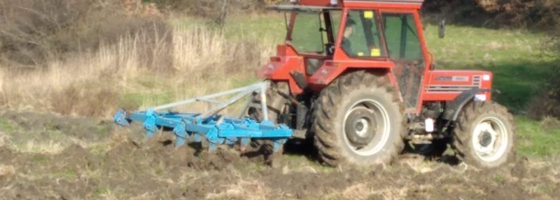 WhatsApp Görsel 2023-08-19 saat 16.10.23